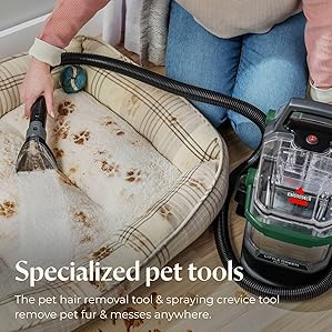 Best Bissell Portable carpet cleaner for Pets 4 81mS1V5UcAL. AC SX299