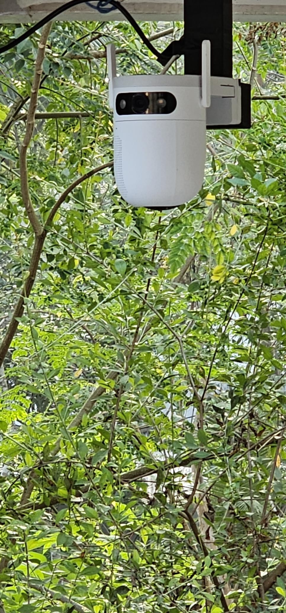 Customer Image