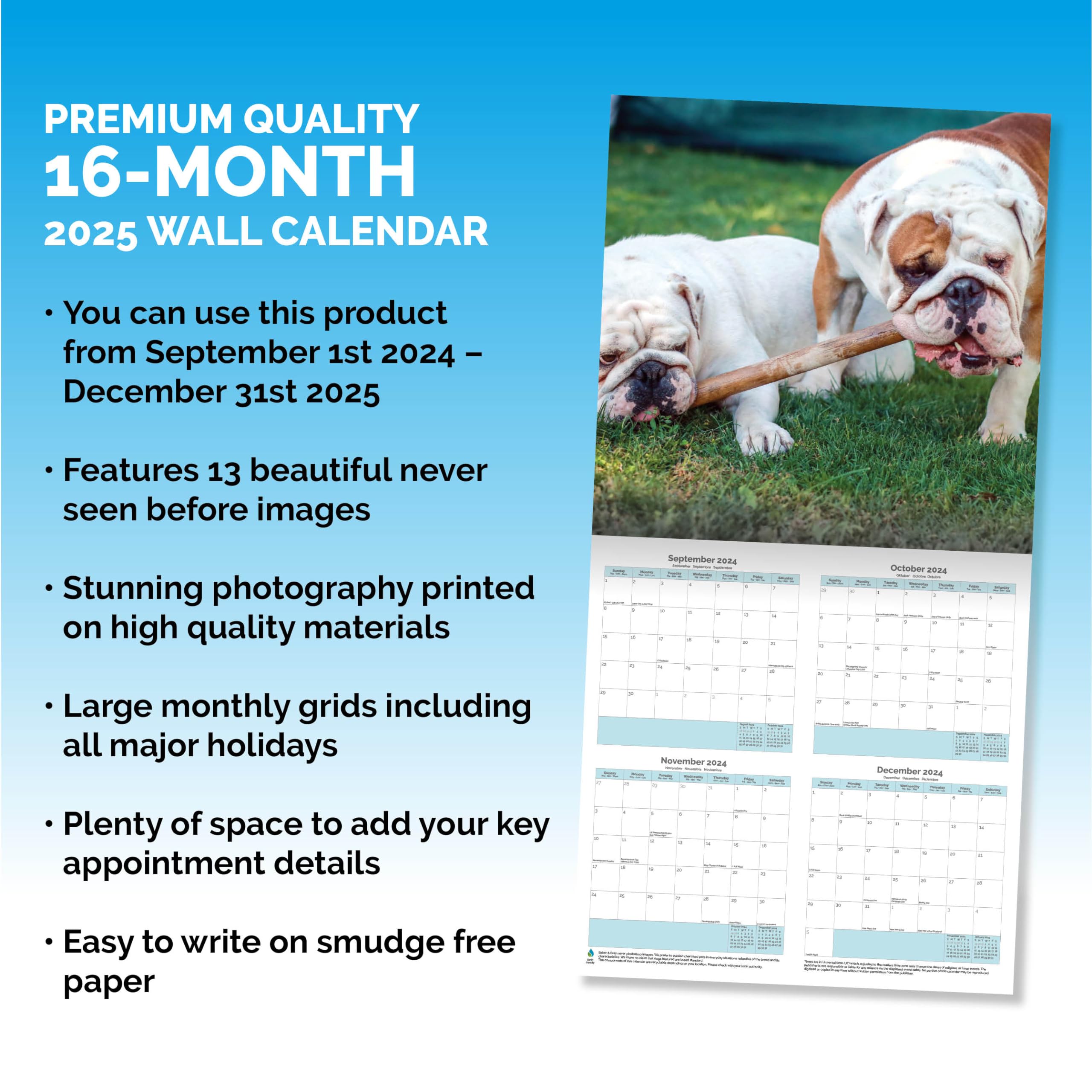 Baker and Bray Bulldog Calendar 2026, Large Square Wall Calendar With Organisational Stickers, 16 Month, Bulldog Gift Dog Calendar - Image 3