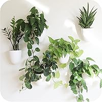 PlantPod Classic Self-Watering Wall Planters (6-Pack, White) - Easy Install, Lightweight Vertical Garden for Indoor Plants