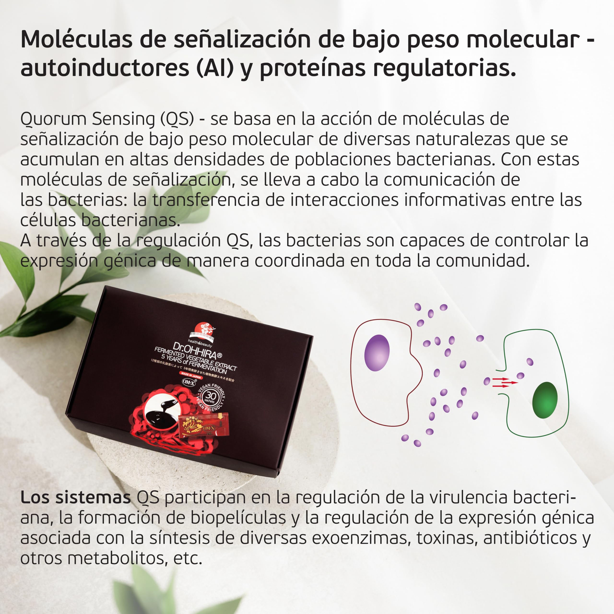 Fermented Vegetable Extract Intestinal Probióticos, 30 Sobres | Flora Intestinal, Suplemento, para la Salud, enzimas digestivas, Prebióticos, Postbióticos, Fermentado, Fermentación 5 Años