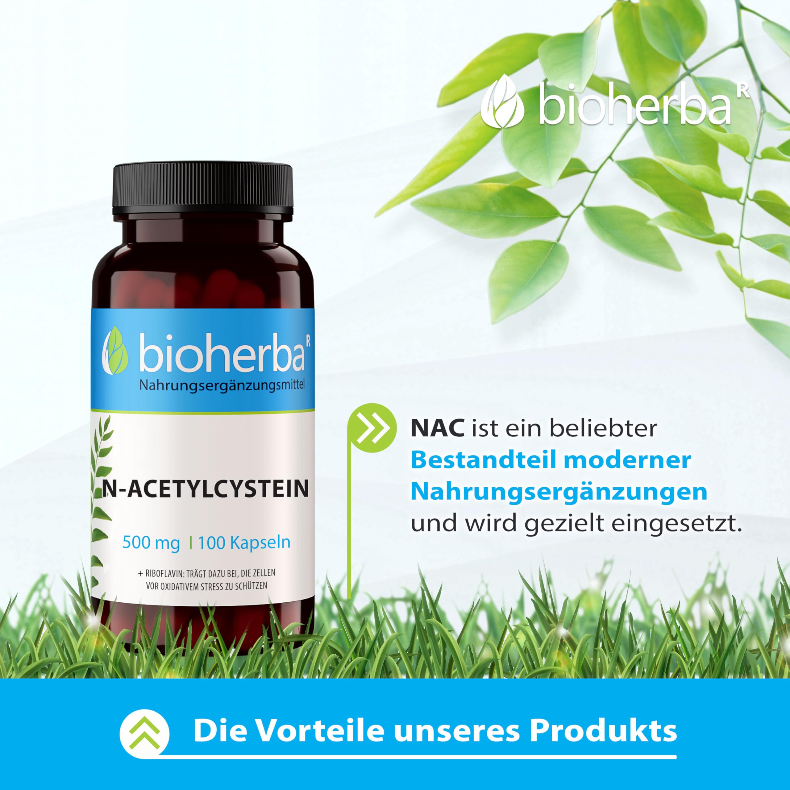 NAC Kapseln – 300 Stück mit 500 mg N-Acetyl-L-Cystein (Aminosäure) von BIOHERBA PZN 18216580