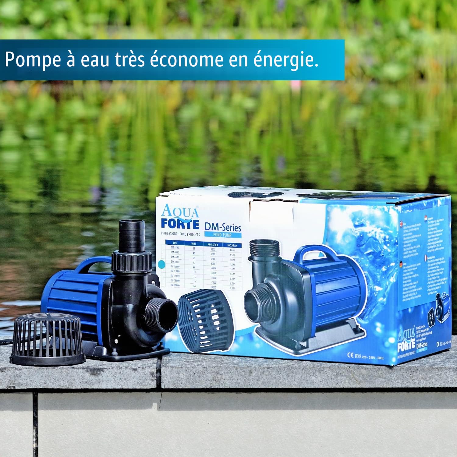 Aquaforte dm 8000 de Filtresde Pompe de Bassin 8 m³H, Hauteur de Refoulement 4,5 m, 70 W, Schwarz