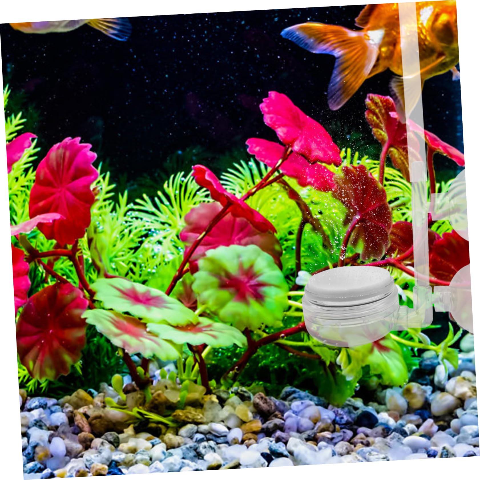 Yardwe 15 Piezas de oxigeno Almohadilla de burbujeo de Base Redonda Piezas del burbujeador del Acuario Purificación de Acuario aireador de Acuario difusor de Acuario PD