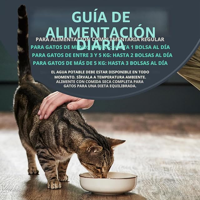 Foto 5 de 7 de Encore Natural Comida húmeda para Gatitos, Multipack Pollo y atún en gelatina, Bolsa de 50 g (5 x 50 g)