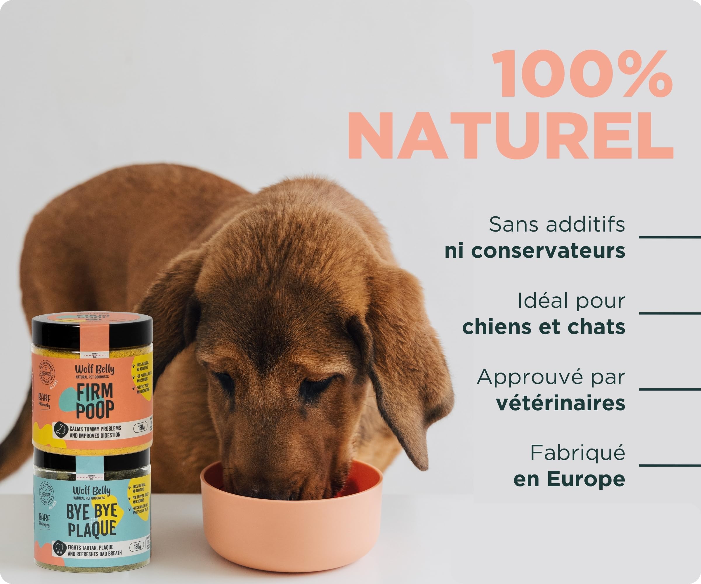 Wolf Belly - Pack Probiotique et Hygiène Dentaire 100% Naturel (180g) | Digestions Saines + Anti tartre | pour Chiens et Chats | Format Poudre - Fabriqué en Europe