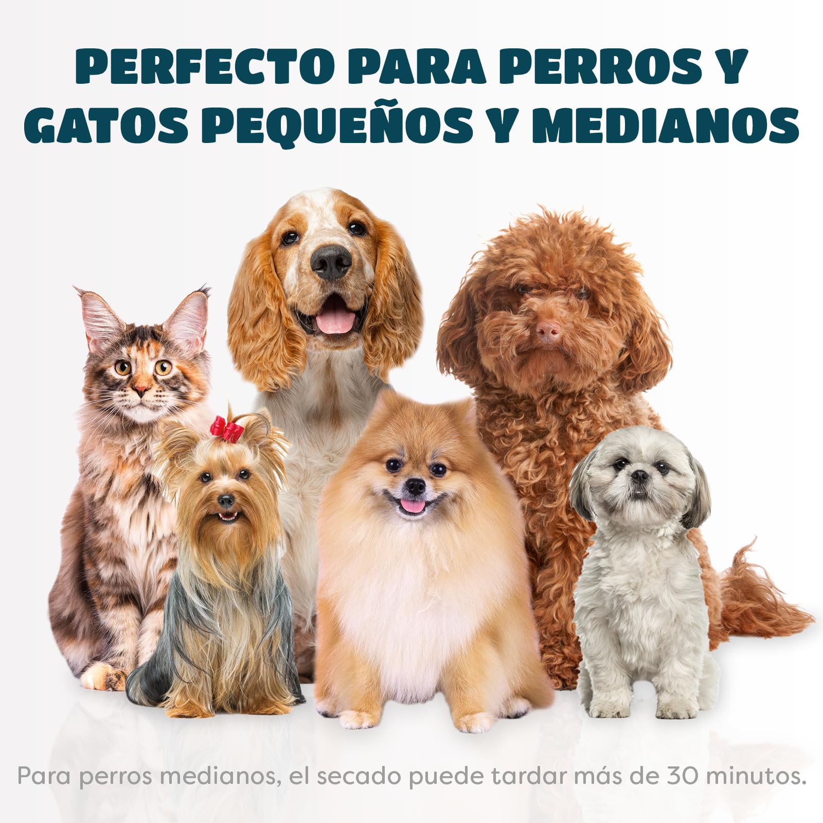 Secador de Pelo para Mascotas | Secador de Pelo Portátil y Silencioso 2 en 1 con un Cepillo Práctico | Temperatura Ajustable | para Perros y Gatos Pequeños y Medianos