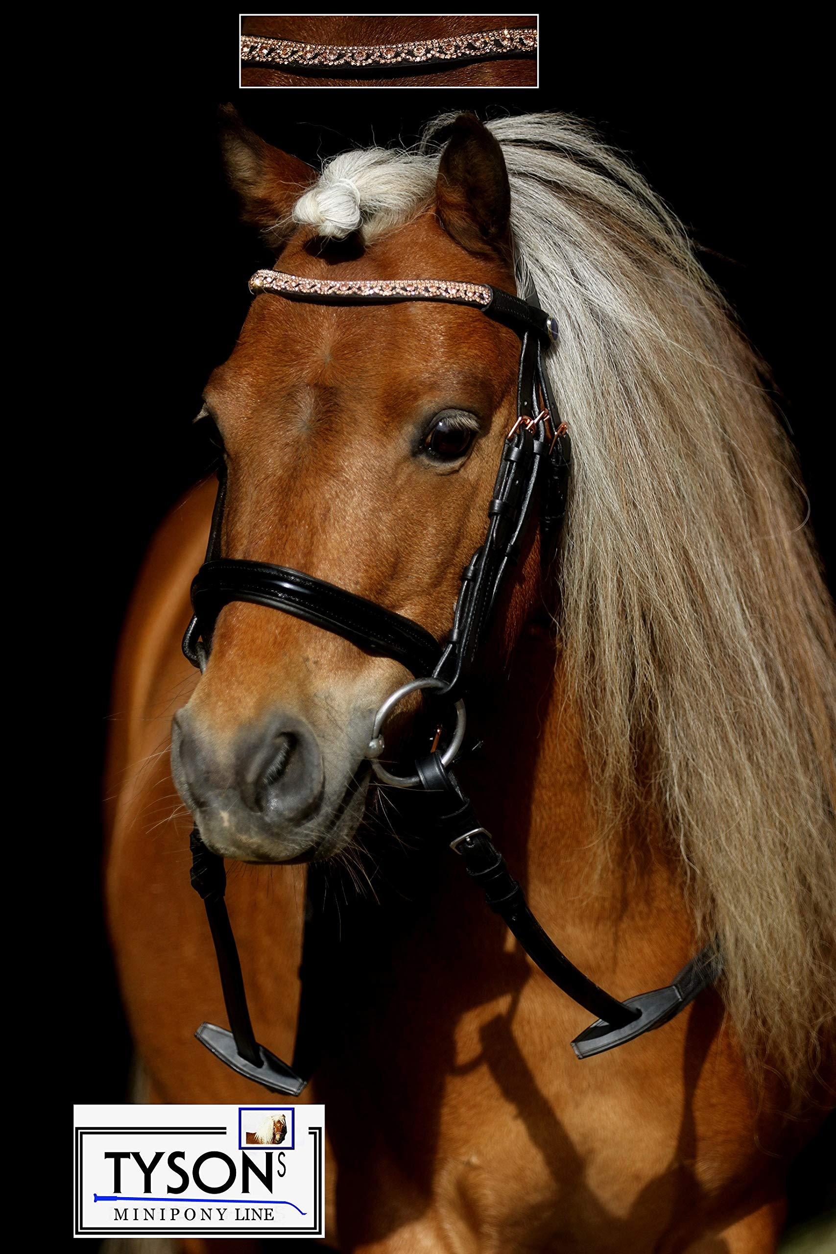 Einfach Gebrochenes Gebiss D Ring Gebiss German Silver Für Minishetty & Pony - Einfach Gebrochen, Rostfrei Gebiss Pferd