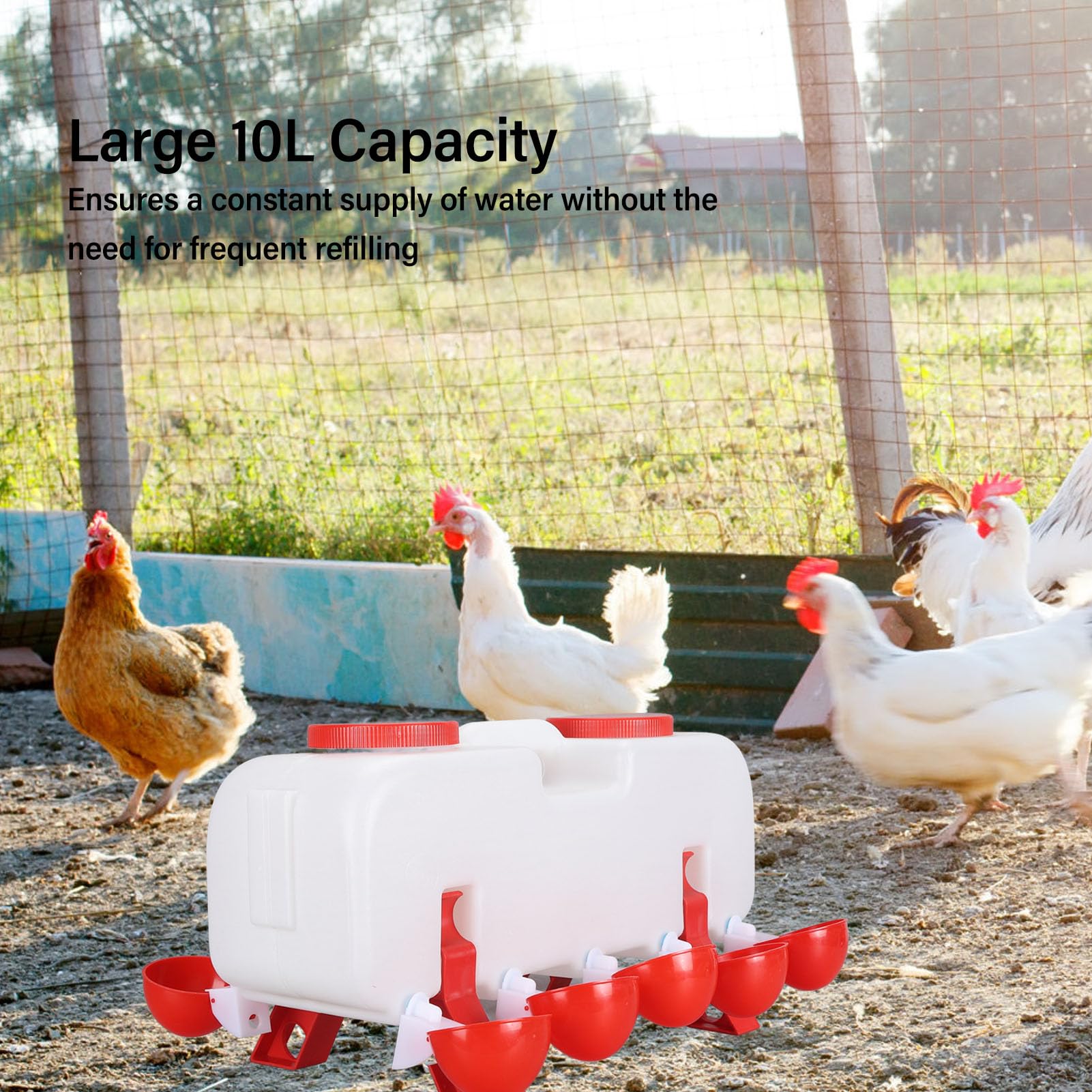 Abbeveratoio per polli di grande capacità da 10 litri, mangiatoia per pollame con 10 tazze d'acqua, distributore automatico di acqua con riempimento dall'alto per oca anatra, (Semiautomatico)