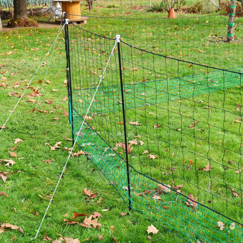 Oxeo Filet de Cloture à Poule 30M - avec Porte d'accès - 10 piquets renforcés Double Pointes - Hauteur 120cm - Noir