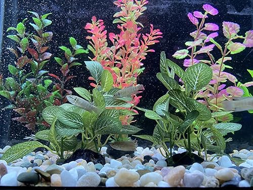 Miniatura 7 de Otimark 2 piezas realista de seda sintética para acuario árbol de ficus fresco pequeño betta pecera hierba plantas artificiales falsas adornos de