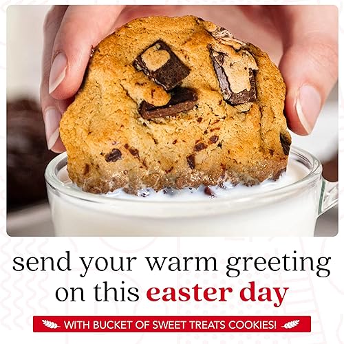 Miniatura 5 de David's Cookies Regalo de galletas de Pascua, dulces gourmet con brownies de chispas de chocolate y galletas de trozos de chocolate, viene en un