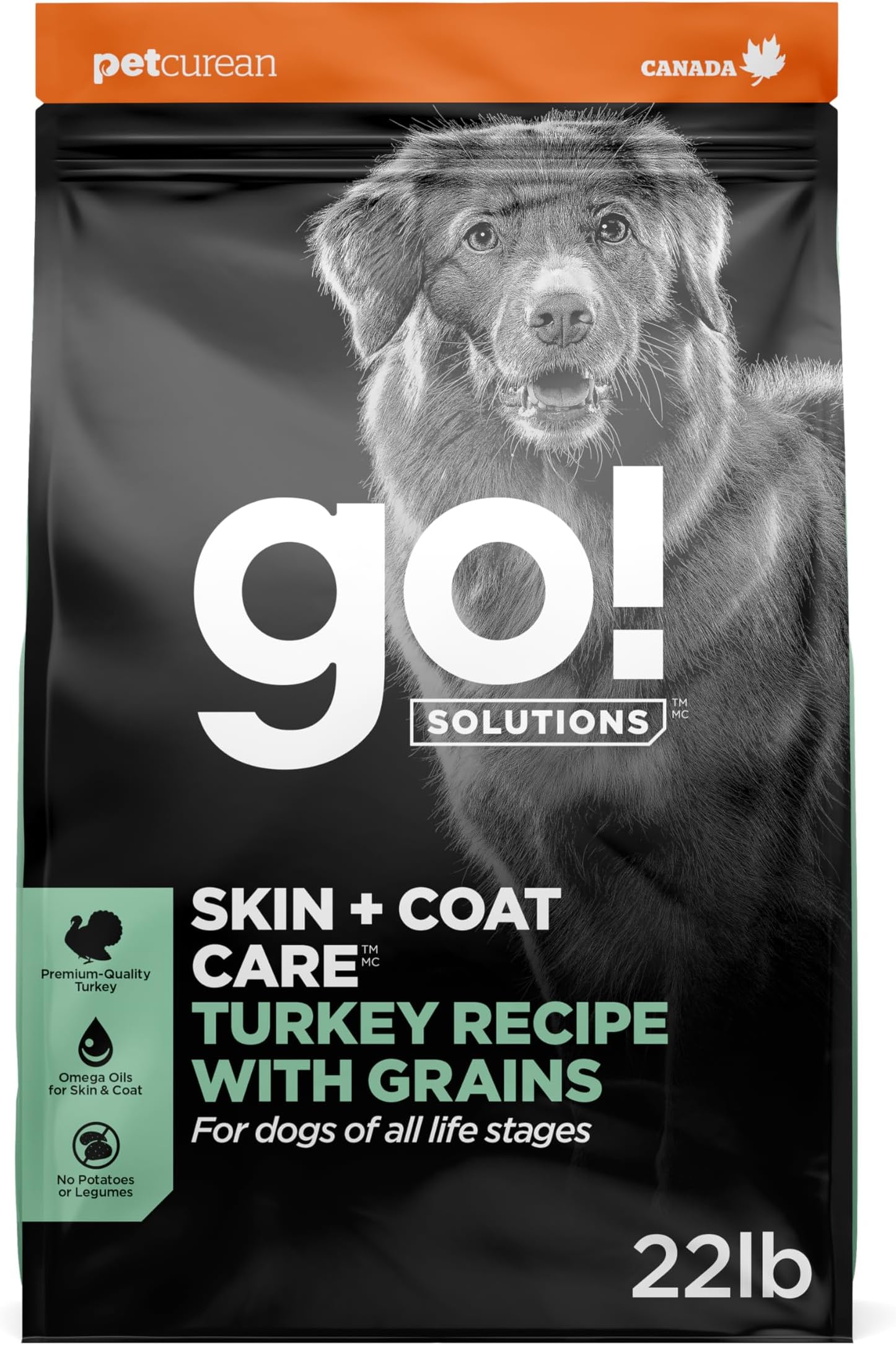 Go! Solutions Skin + Coat Care Turkey Dry Dog Food with Grains, Chicken-Free, Healthy Kibble with Omega-3s & 6s for Soft, Shiny Fur, for Puppies, Adults, & Seniors, 22 lb Bag