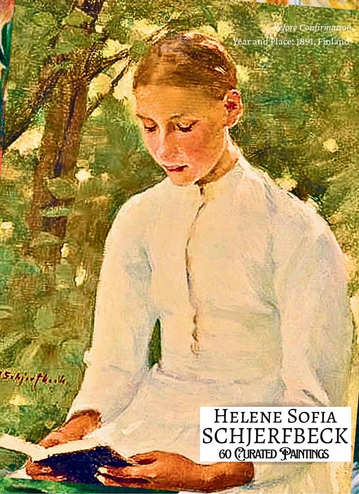 Helene Schjerfbeck 60 planches d'art le cadeau idéal pour amateurs de peinture moderne