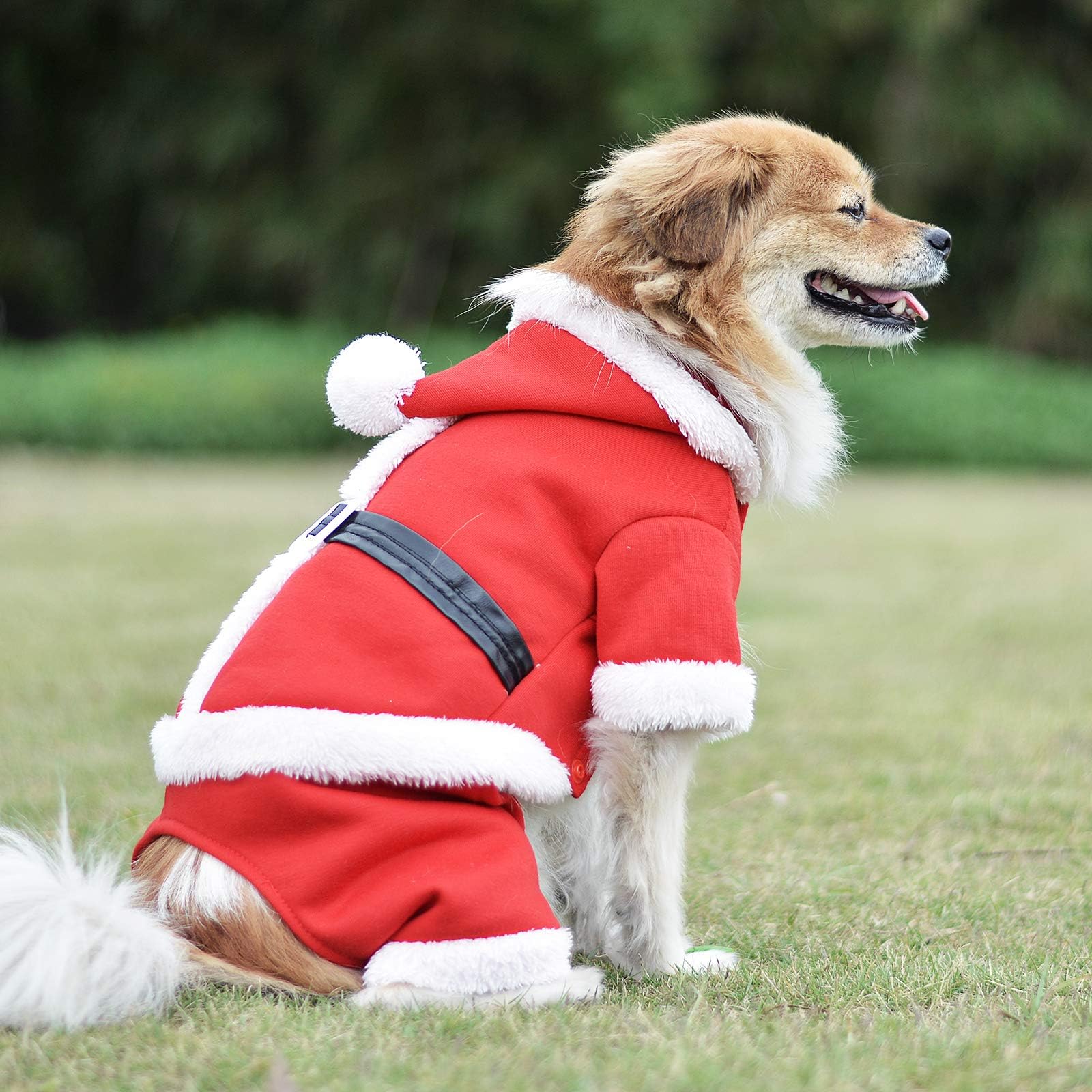 Pet Clothes Pet Costume Santa Outfit Pet Hoodies Party Dressing Apparel for Small Pets Dogs Puppy Kitten Cat with Leather (Red Santa, M)