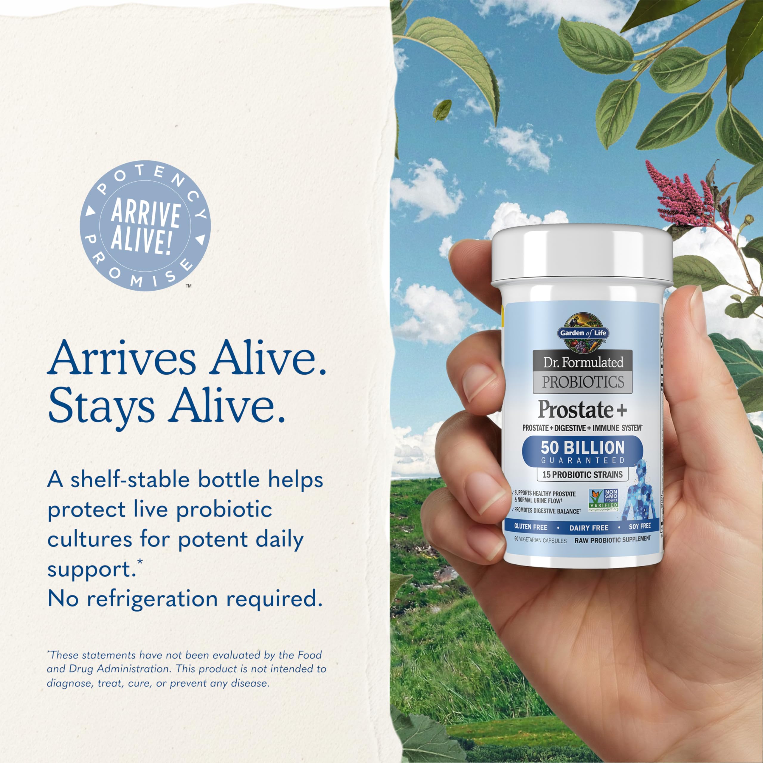 Garden of Life Dr. Formulated Probiotics Prostate+ 60 Capsules – Men's Daily Probiotic to Support Prostate, Digestive & Immune Health, Shelf-Stable Targeted Formula