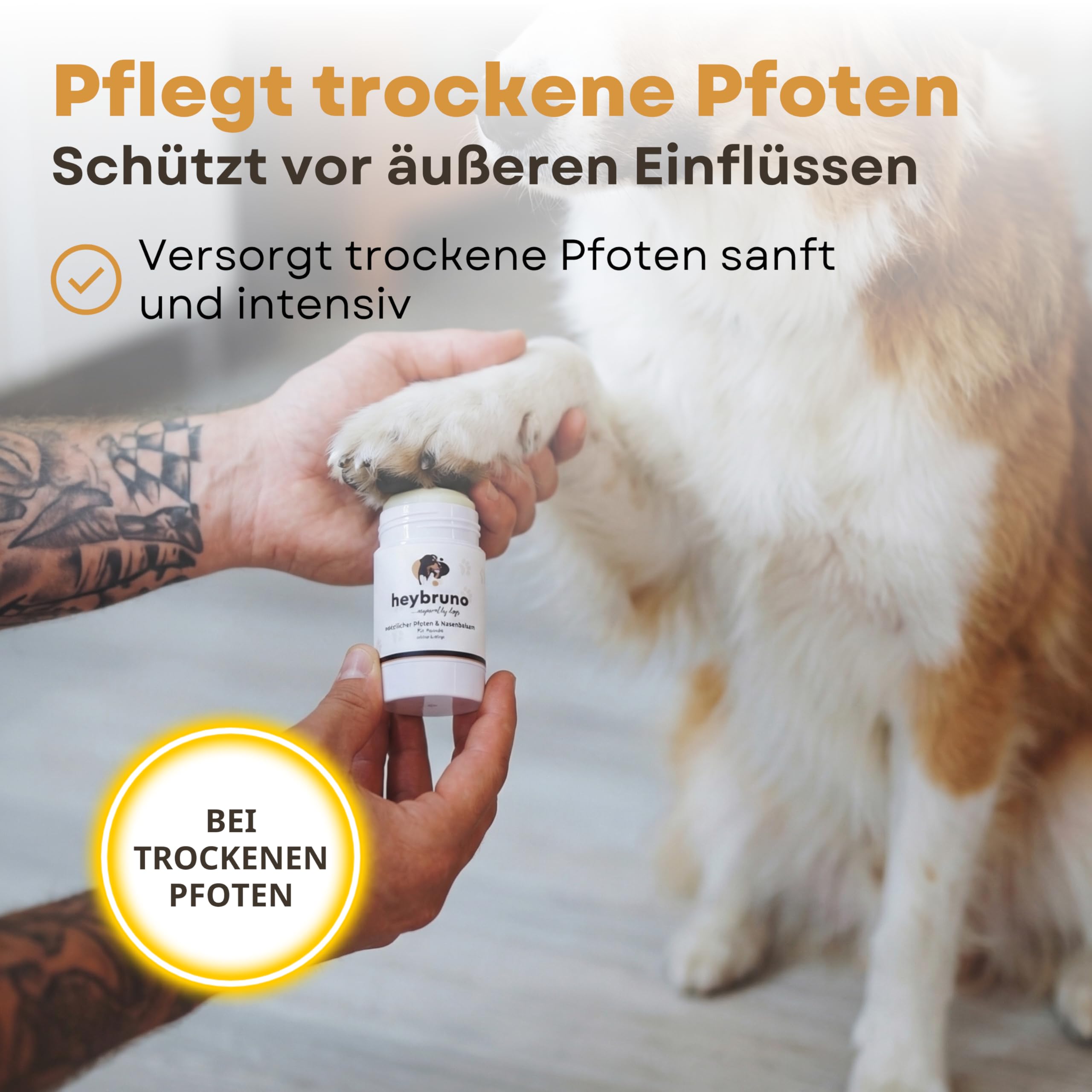 XXL Bundle Pfotenpflege und Fellpflege Set für Hunde - Pfotenreiniger 150ml mit Bürste - Pfotenbalsam und Nasenbalsam - Trockenshampoo Schaum - Hundeshampoo 200ml - Hundekamm für Langhaar