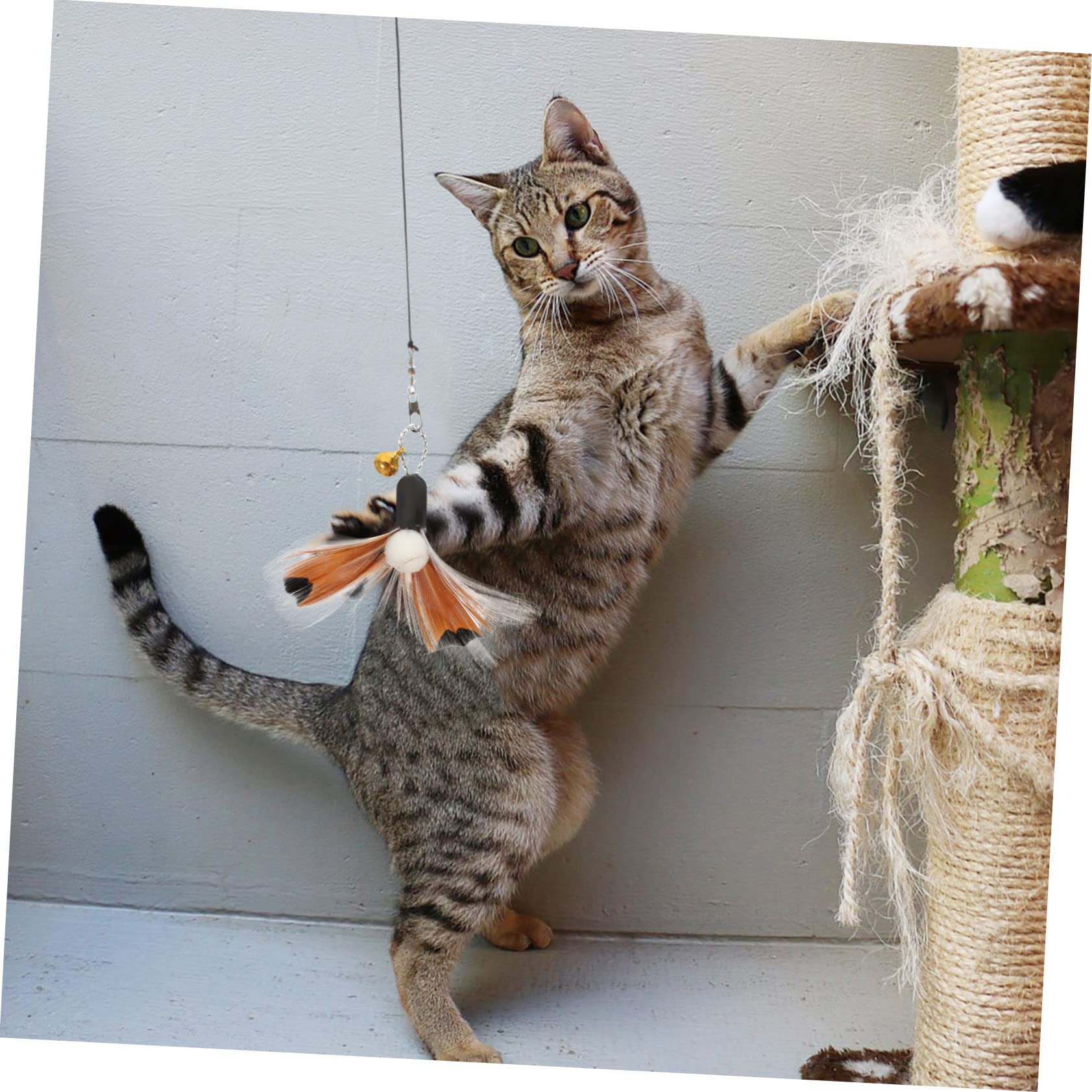 VANZACK 24stücke Katzenangel Zubehörset Teiliges Interaktives Spielzeug Für Katzen Ersatzköpfe Mit Federn Und Insekten-Design Fördert Die Bewegung Und Spaß Ihrer Katzen Drinnen