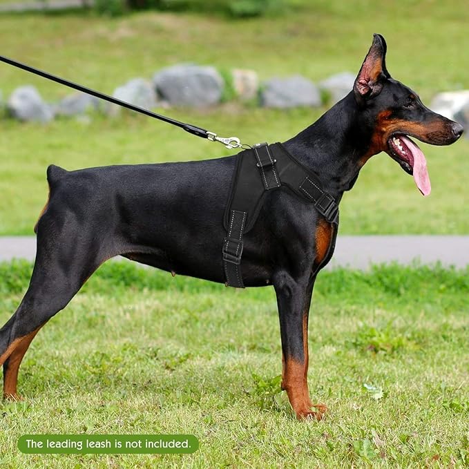 waggy tails harness amazon