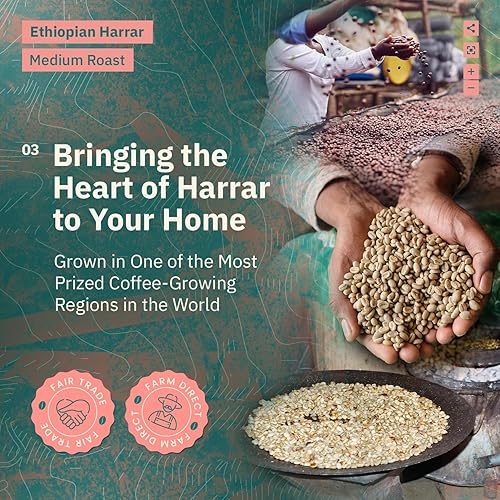 Miniatura 4 de Café molido etíope orgánico tostado medio, 12 onzas, granos de café Harrar etíope de origen único, café especial, comercio justo, chocolate y notas