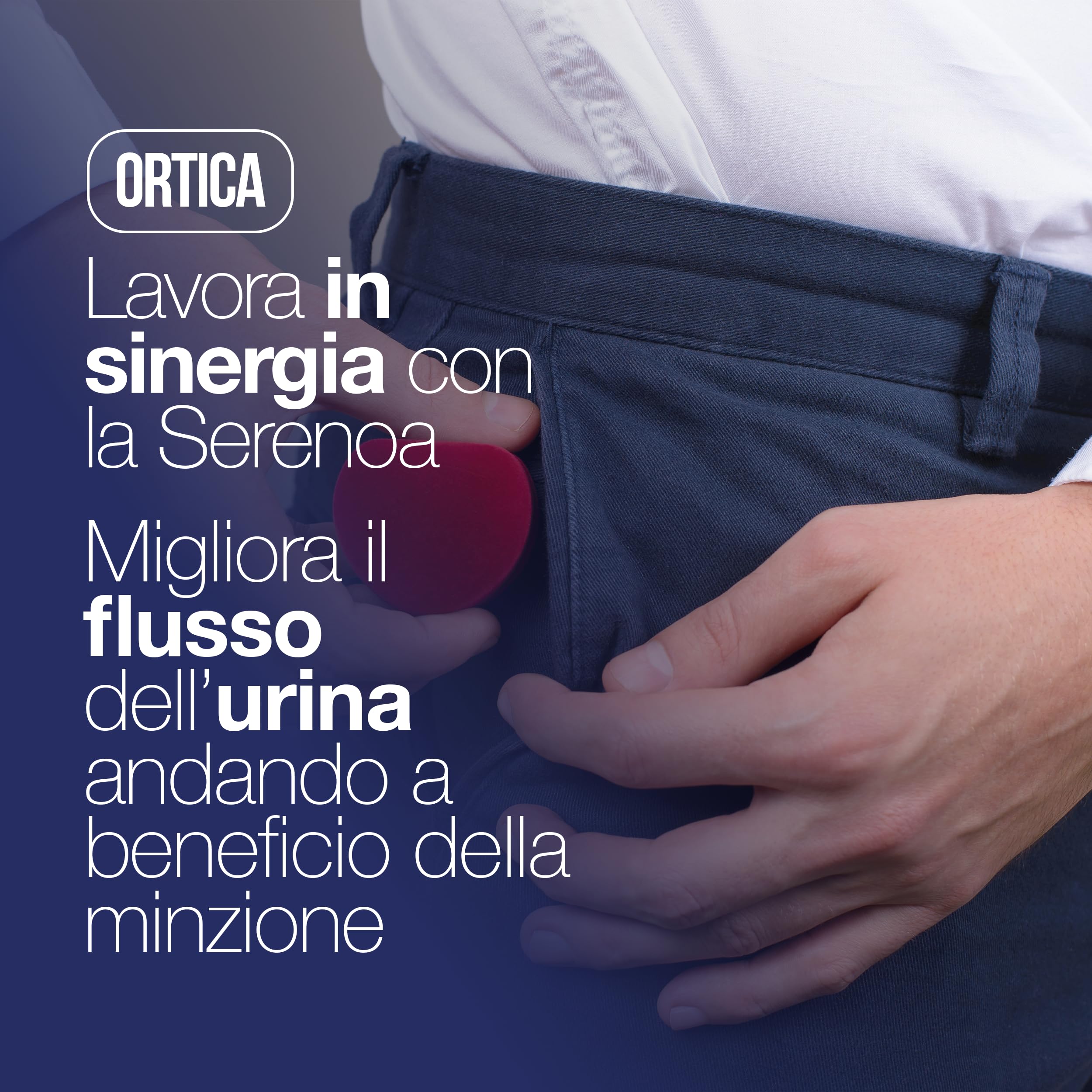 SERENOA REPENS, Prostata Integratore 60 Compresse con: Saw Palmetto, Boswellia, Zucca e Licopene. Serenoa Repens Prostata 640mg con: Ortica, Melograno ed Epilobio. Integratore Prostata Formula Potente