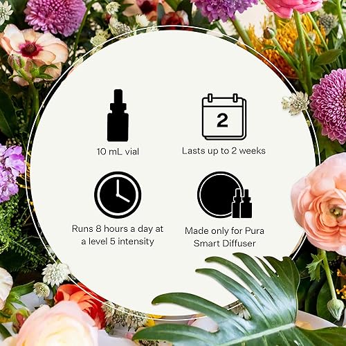 Miniatura 3 de Apotheke - Repuesto de fragancia para difusor de aromaterapia inteligente Pura (lona)