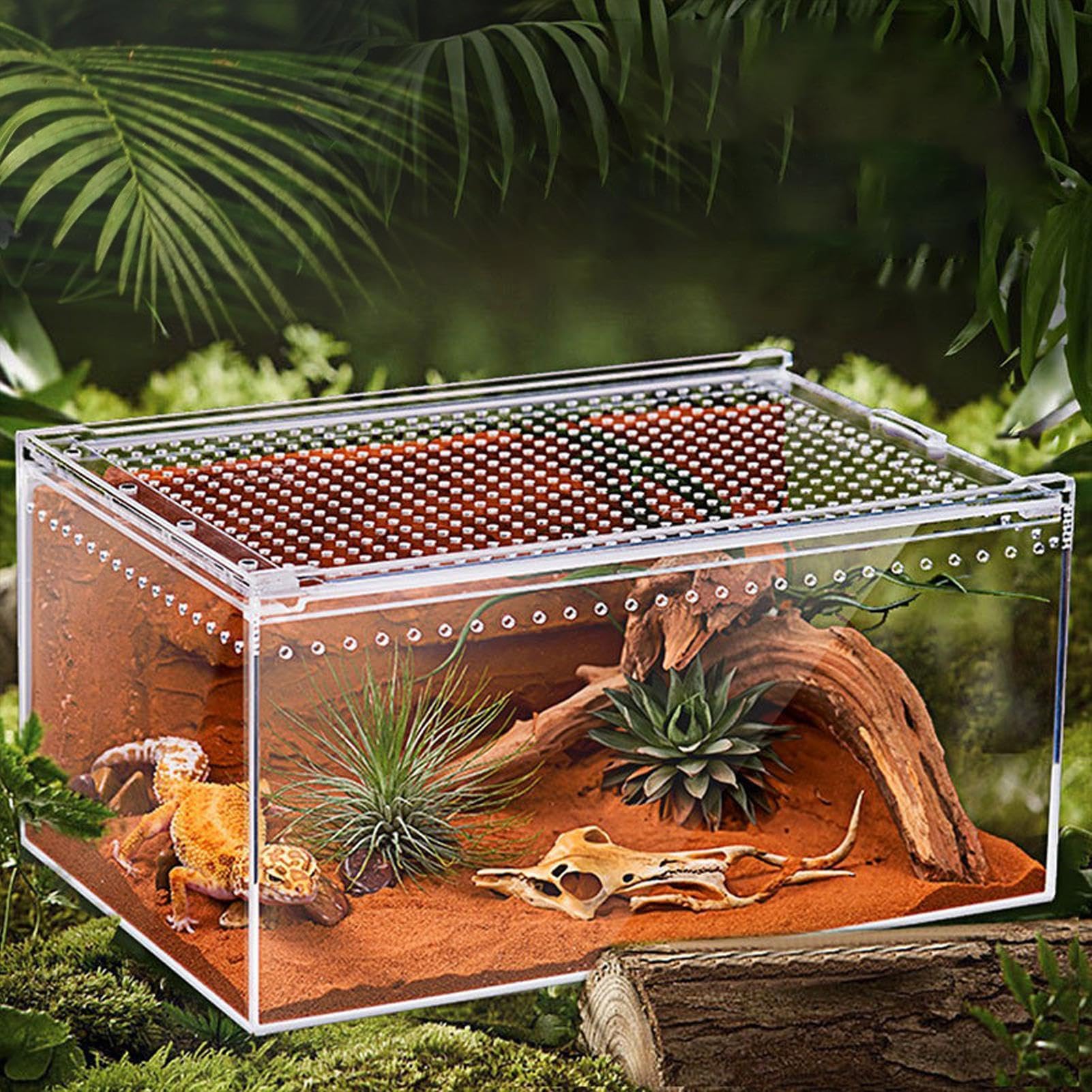 Spider Terrarium - przezroczysty akrylowy zbiornik na gady, dla małych | zwierząt, wentylowane zamknięcie, przezroczyste wzornictwo, kompaktowe pudełko na pająk, gekon, żabę,