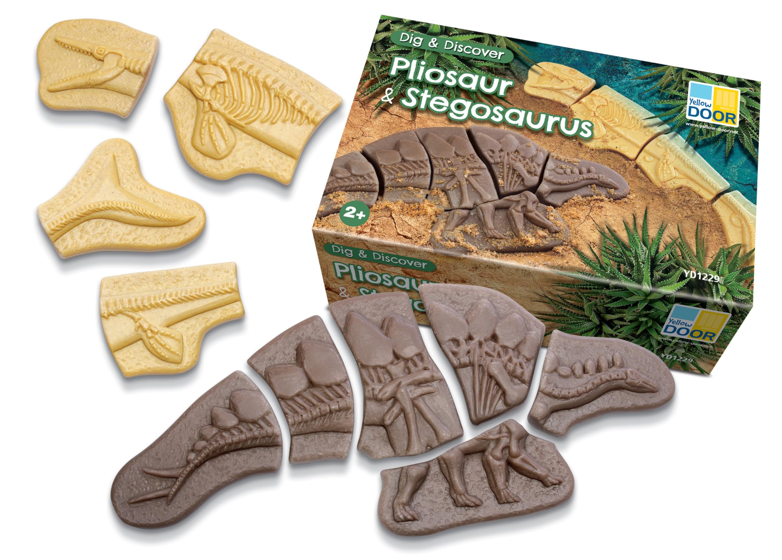 Yellow Door Dig and Discover - Pliosaur & Stegosaurus, Various, 250mm - Image 2