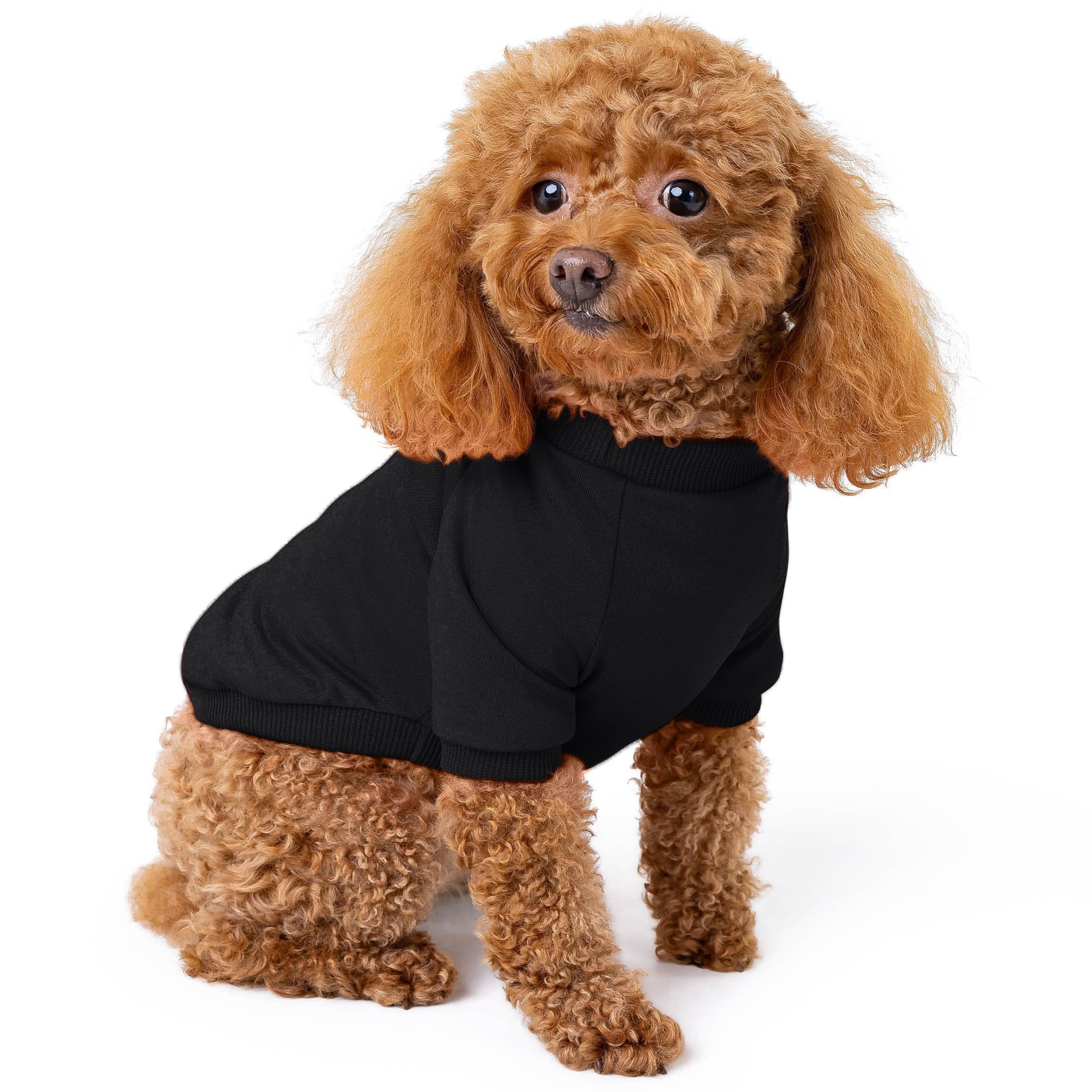 Rocky Thermal Jacket Clothes Fleece Lined Sweater for Dogs, Puppies, Warm Coat Bodysuit Onesie One Piece Vest Pet Jammies with Leg Warmers for Small,