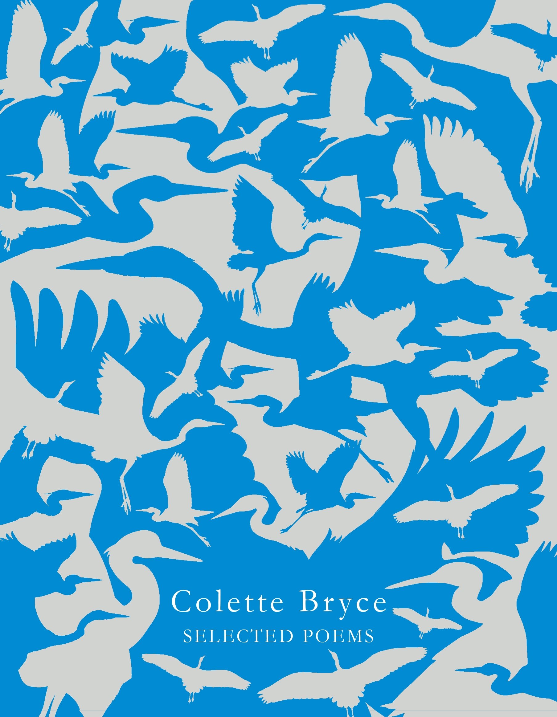 Selected Poems by Colette Bryce - 9781509840380