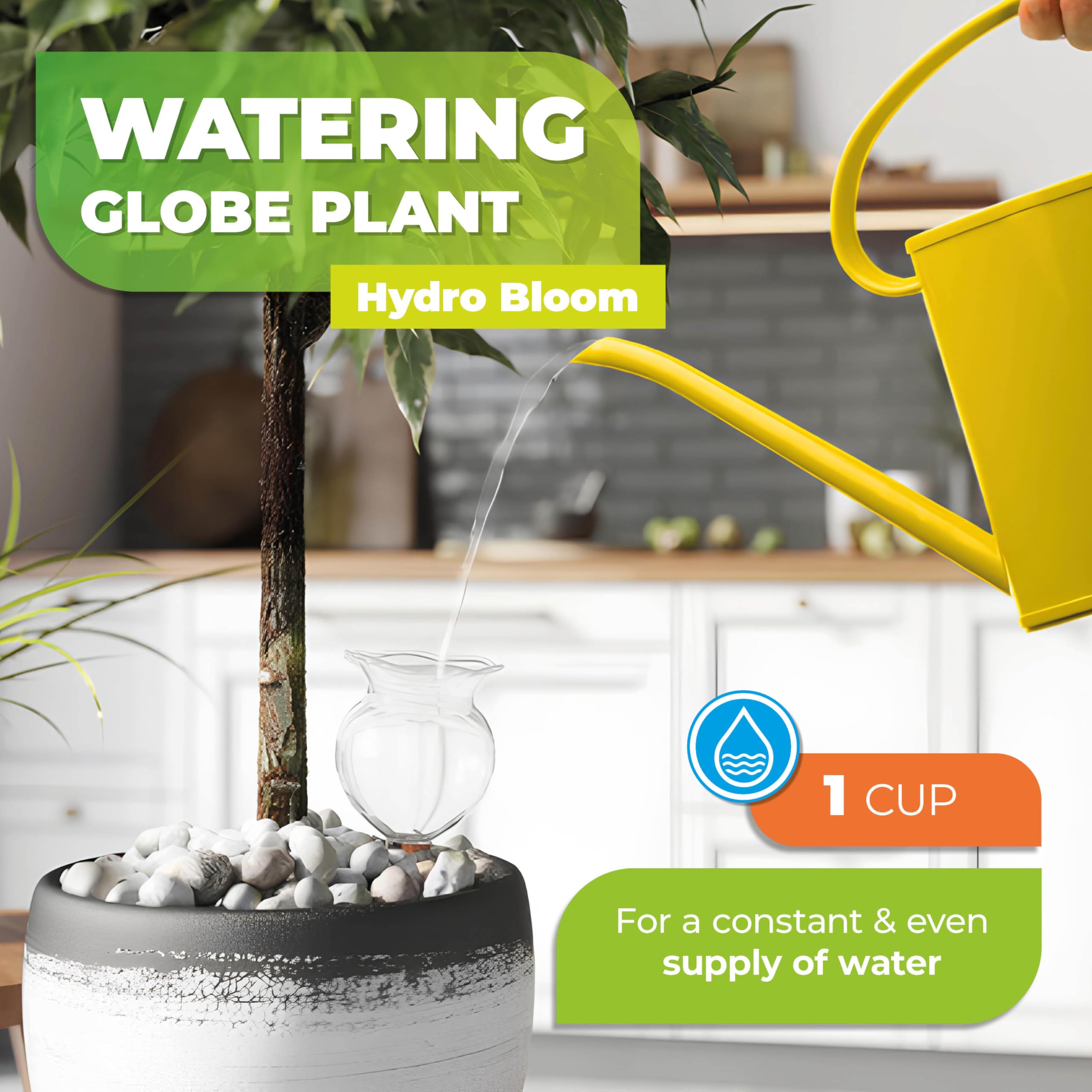 BioGreen Selbstbewässerungskugeln für Pflanzen, Hydroblüte, 12 Stück, automatische Pflanzenbewässerungszwiebeln für Innen- und Außenbereich, Topfpflanzen, UV-beständiges Wasserkonservierungsgerät