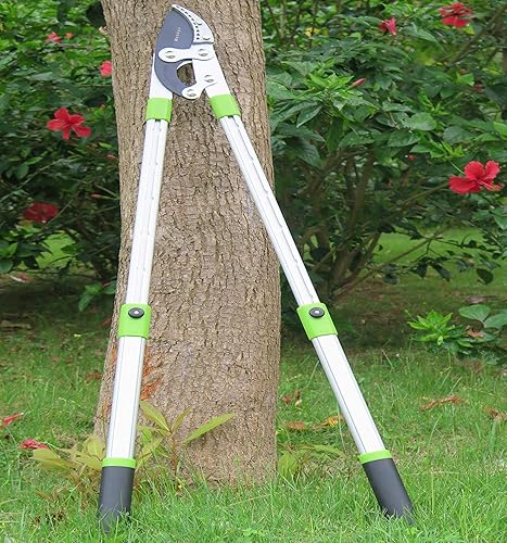 Miniatura 7 de Yunque resistente y podadora de derivación con mango telescópico (26-41 pulgadas), podadora de jardín ajustable de 5 capas, cortador de ramas de 2