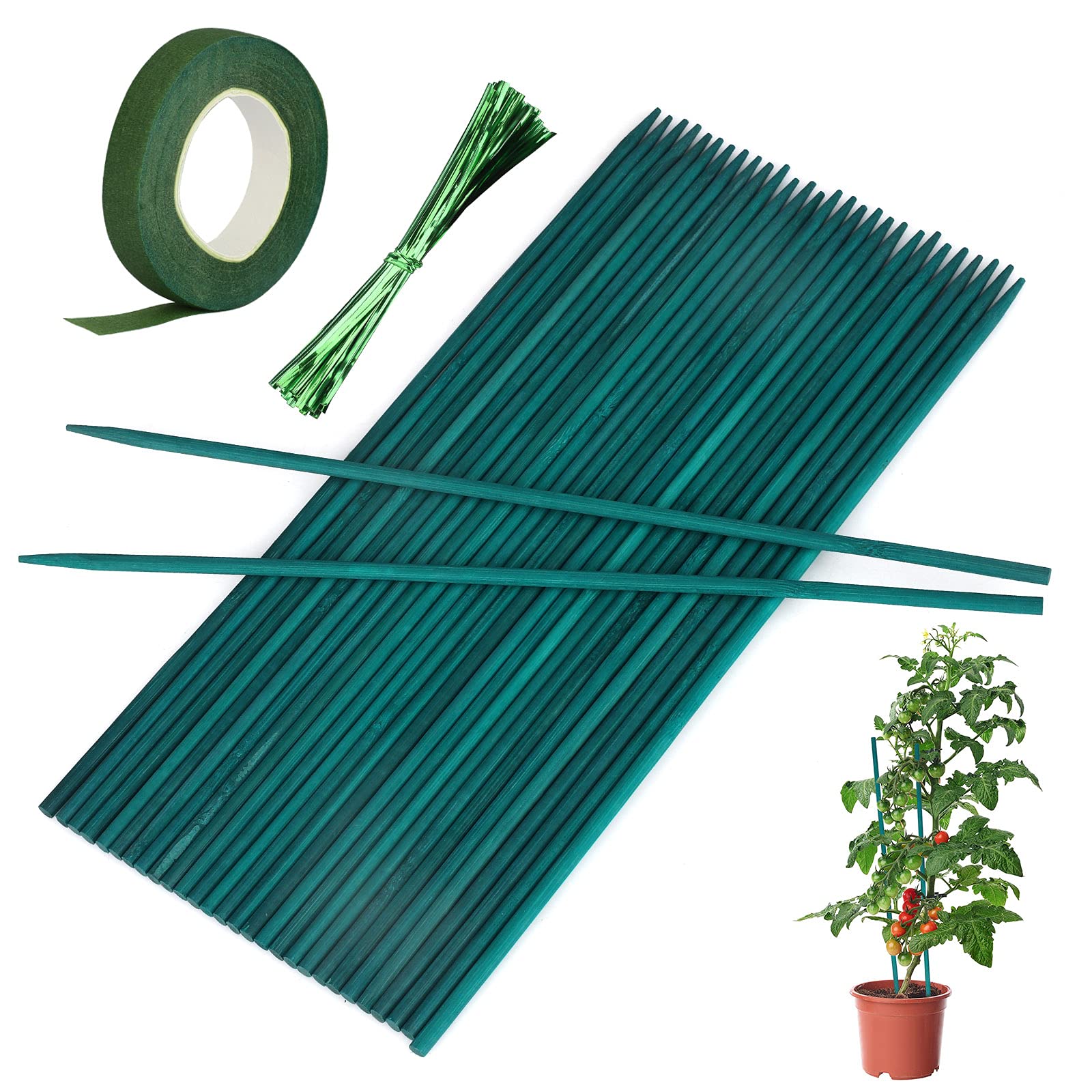 50 bastoncini di supporto per piante verdi da 30 cm, per