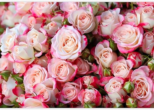 Miniatura 2 de wall26 - Papel tapiz autoadhesivo, murales grandes para pared