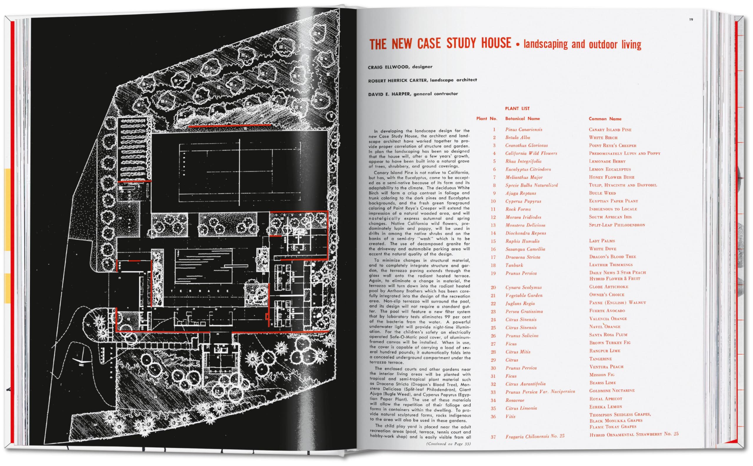 Arts & Architecture 1955–1959 (Fantastic Price)