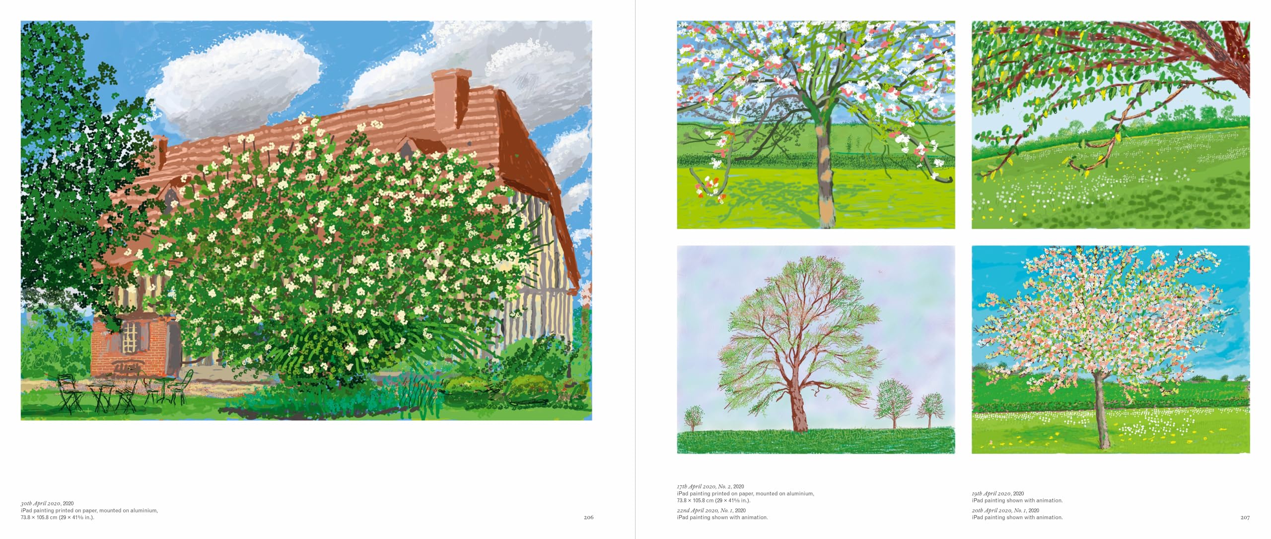David Hockney: 25