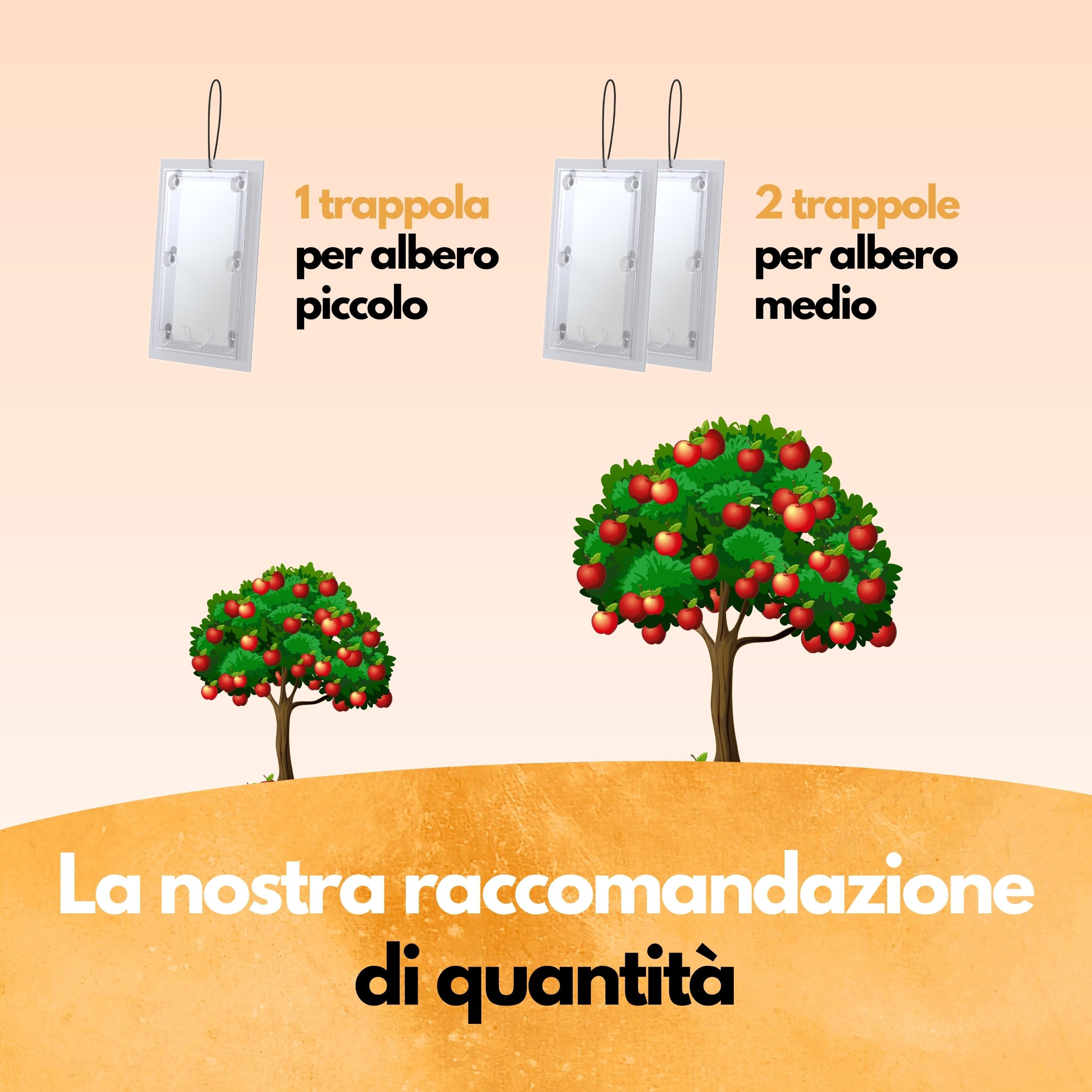 Panteer Trappola per carpocapsa – 3 Pezzi – con Cavo – Trappole a feromoni per melo e Pero – Monitoraggio Cydia pomonella – Fino a 8 Settimane – Senza Chimica – per Alberi da frutto