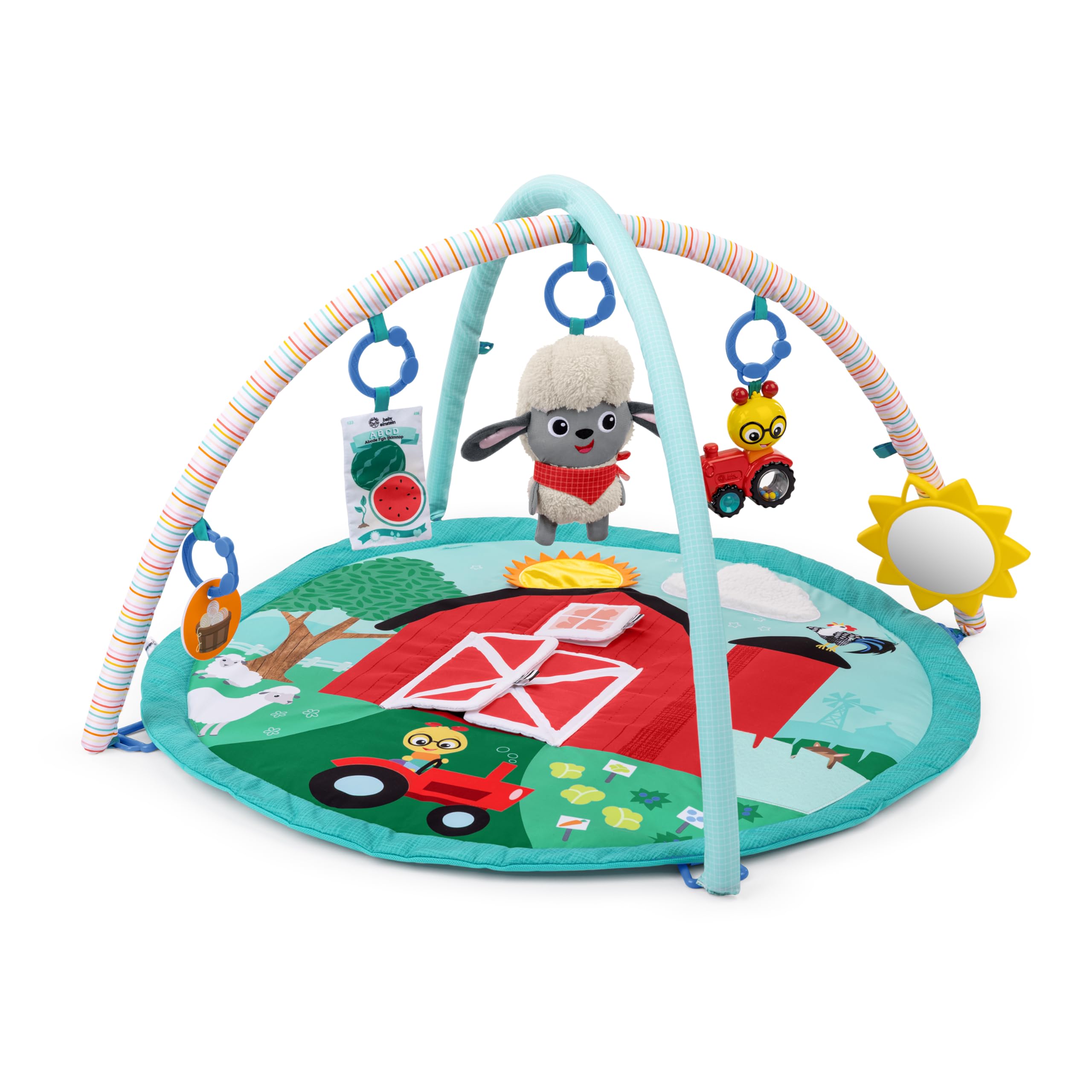 Ingenuity Baby Einstein Farm Explorers Happy Harvest Touch Feel Baby Play Gym Mat with 5 Removable Toys 20