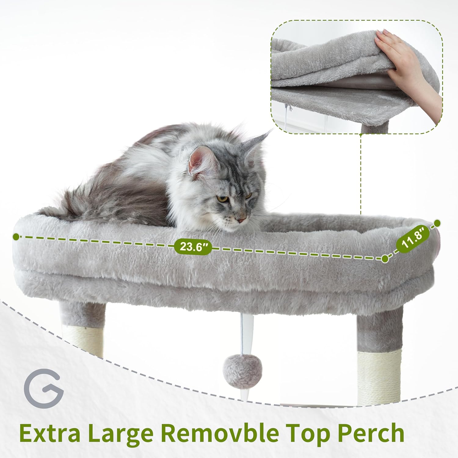 Extra large removable top perch