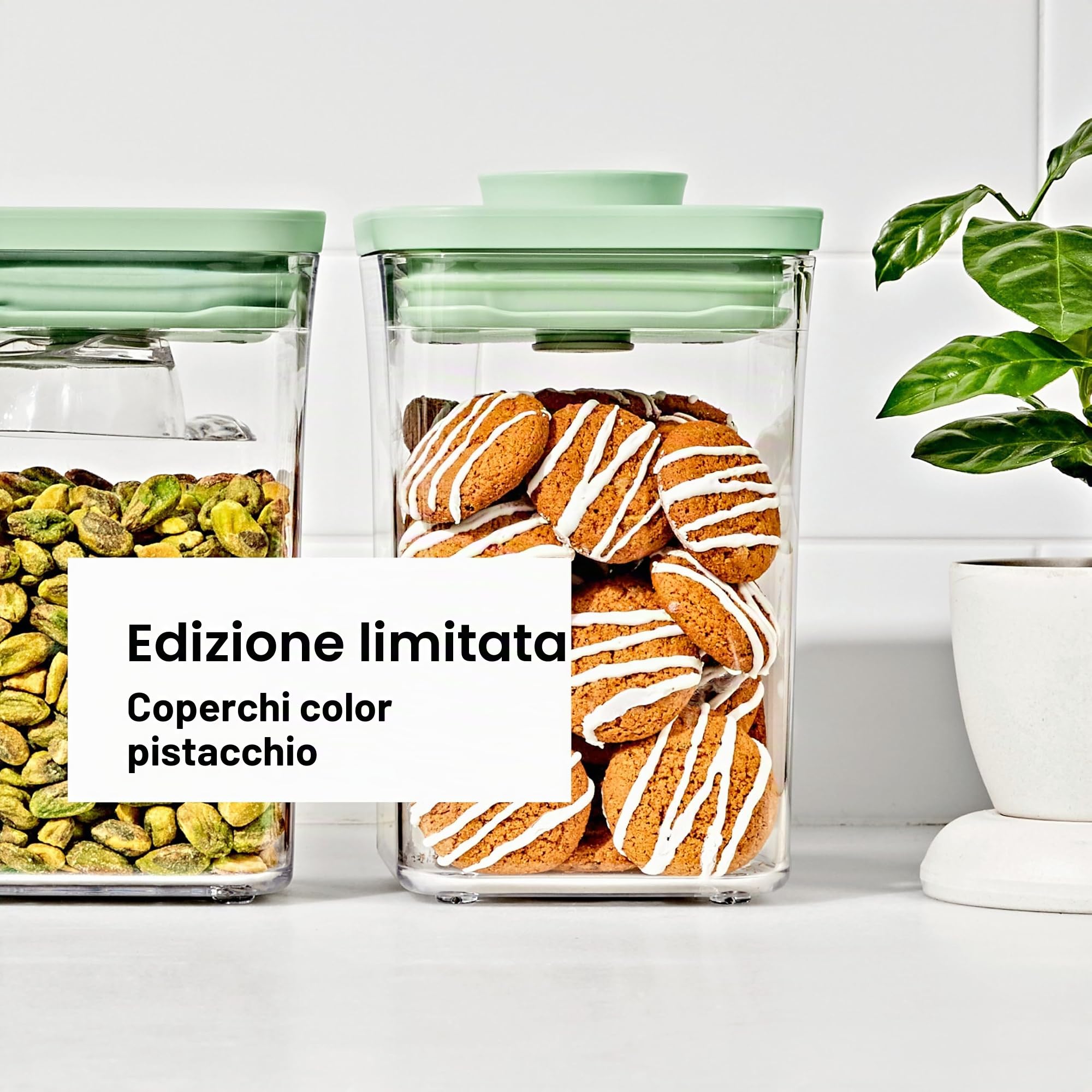 OXO Good Grips POP - Set di 3 contenitori con mini cucchiai, motivo: pistacchio, edizione limitata
