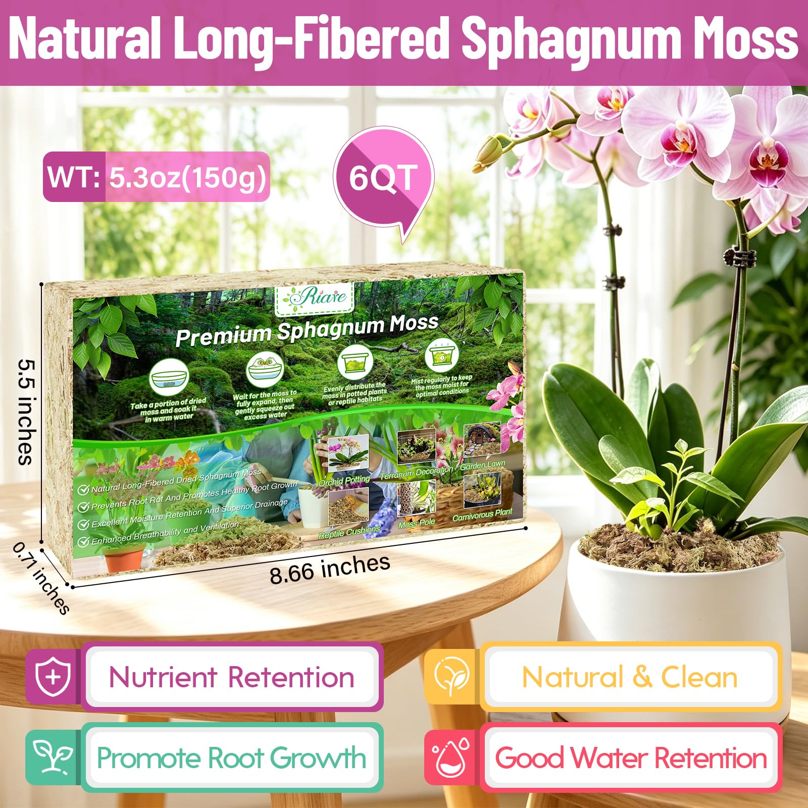 Riare 150 g de musgo Sphagnum Natural Terrario Musgo para Plantas Excelente Rendimiento de Ventilación para Orquídeas Plantas en Maceta Hogar Cultivo de Flores (150 g)