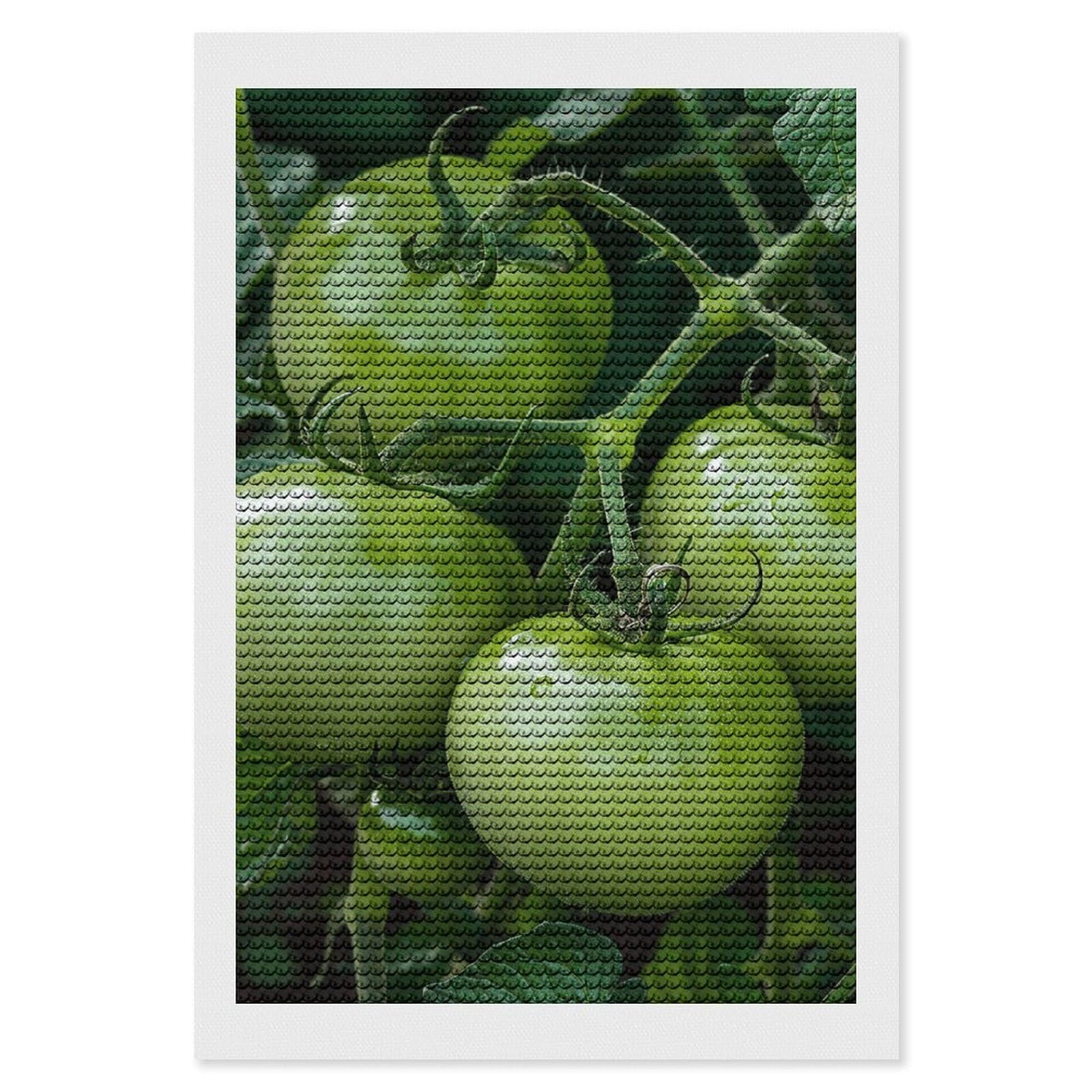 MNVTSKOP Diamond Art Kits for Adults DIY 5D Full Drill Diamond Dots Paintings Green Tomatoes Image Diamonds Painting Paint by Diamonds for Beginners