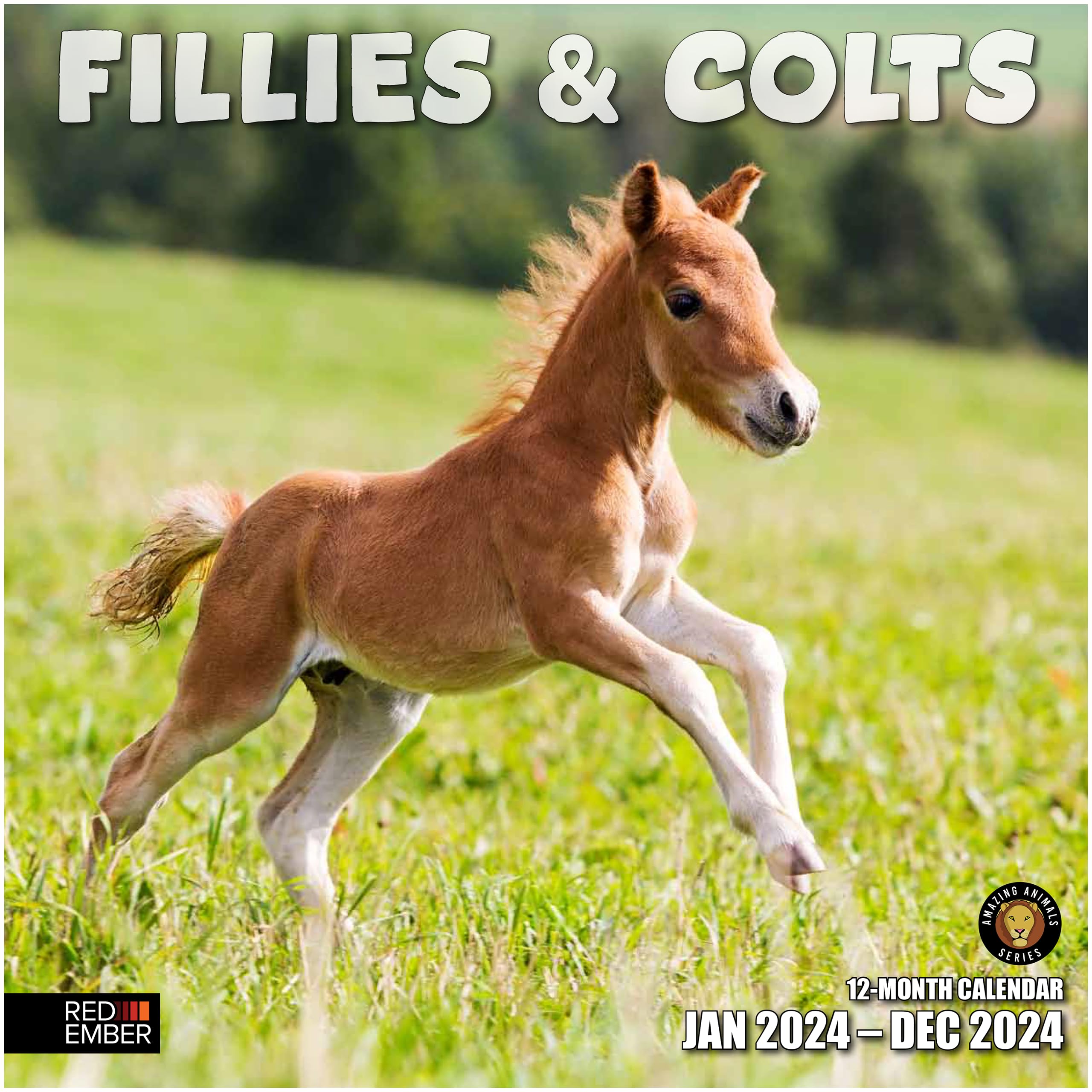 RED EMBERFillies and Colts 2024 Hangable Monthly Wall Calendar | 12" x 24" Open | Thick & Sturdy Paper | Giftable | Kids Pony Animals |