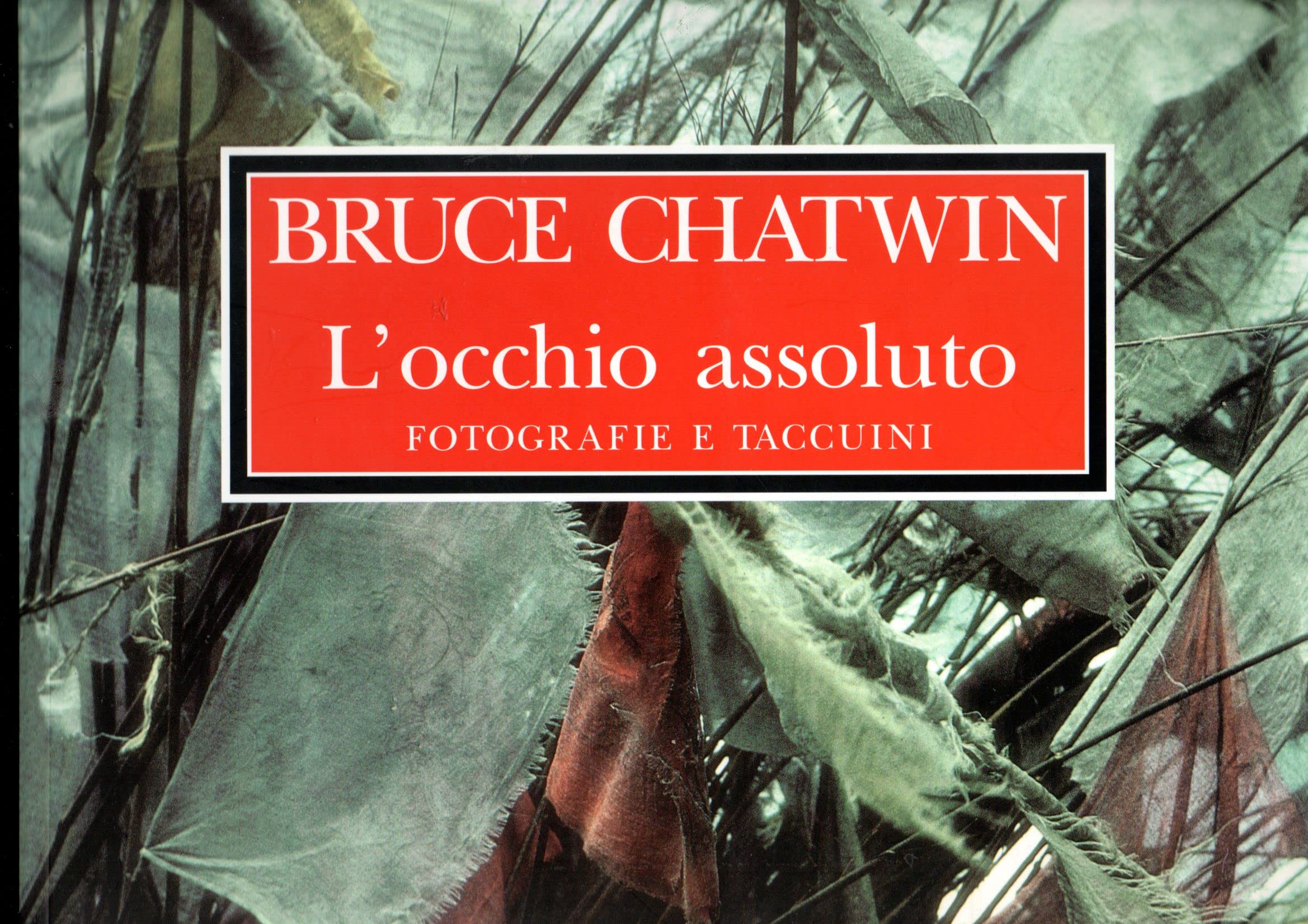 L'occhio assoluto. Fotografie e taccuini. Ediz. illustrata