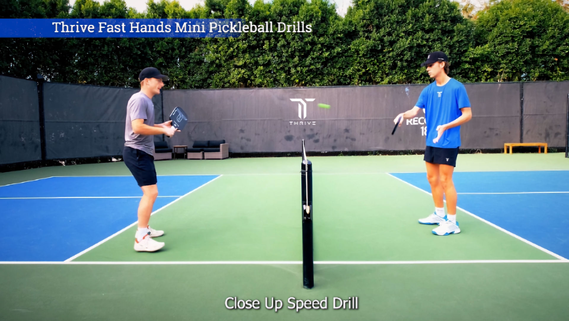 Amazon.com : Thrive Fast Hands Mini Pickleball Ball - Quicker
