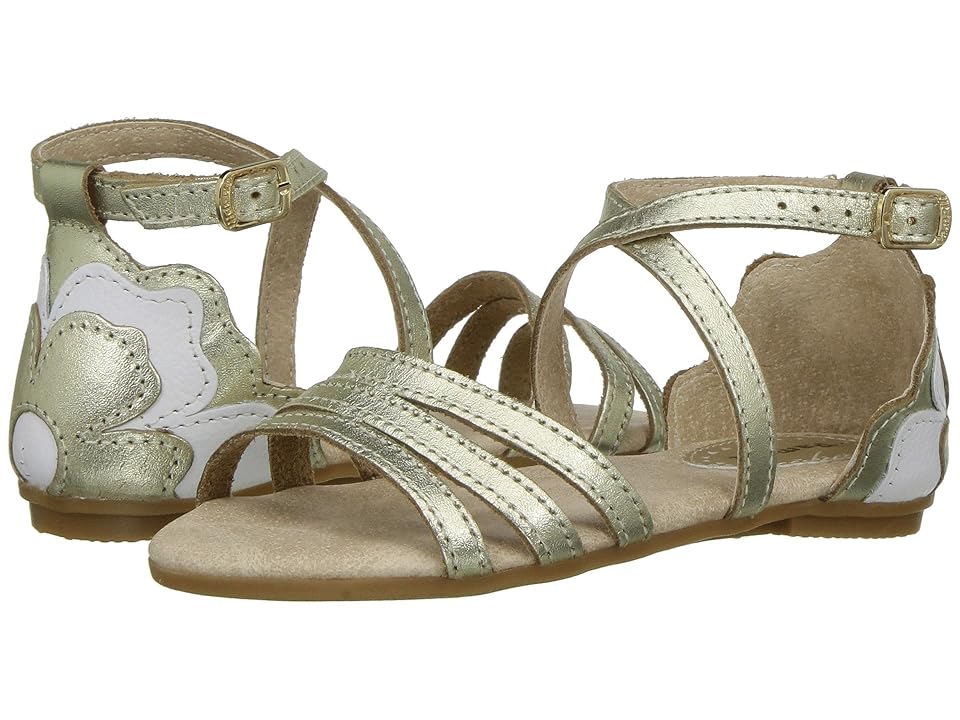 

Pampili 206119 (Toddler/Little Kid) (Gold) Girl's Shoes