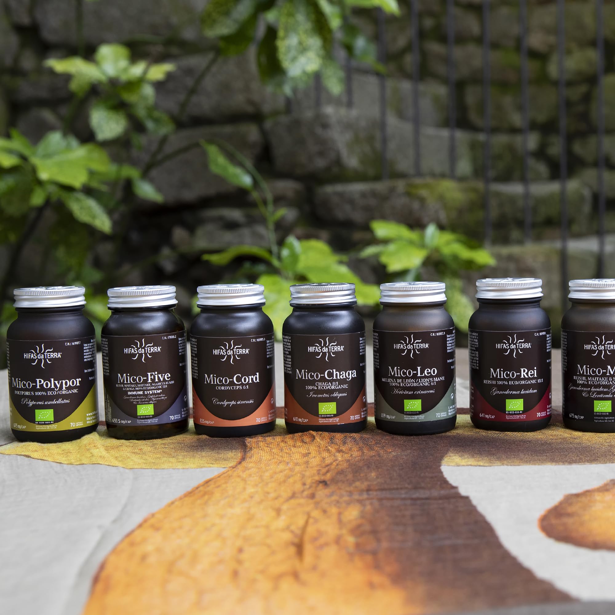 HIFASDATERRA MICO POLYPOR (polyporus) HDT 70cap. – complément complet proposé en gélules pratiques, boîte de 70 gélules, recommandé en complément d’une alimentation équilibrée et convient à ceux qui p