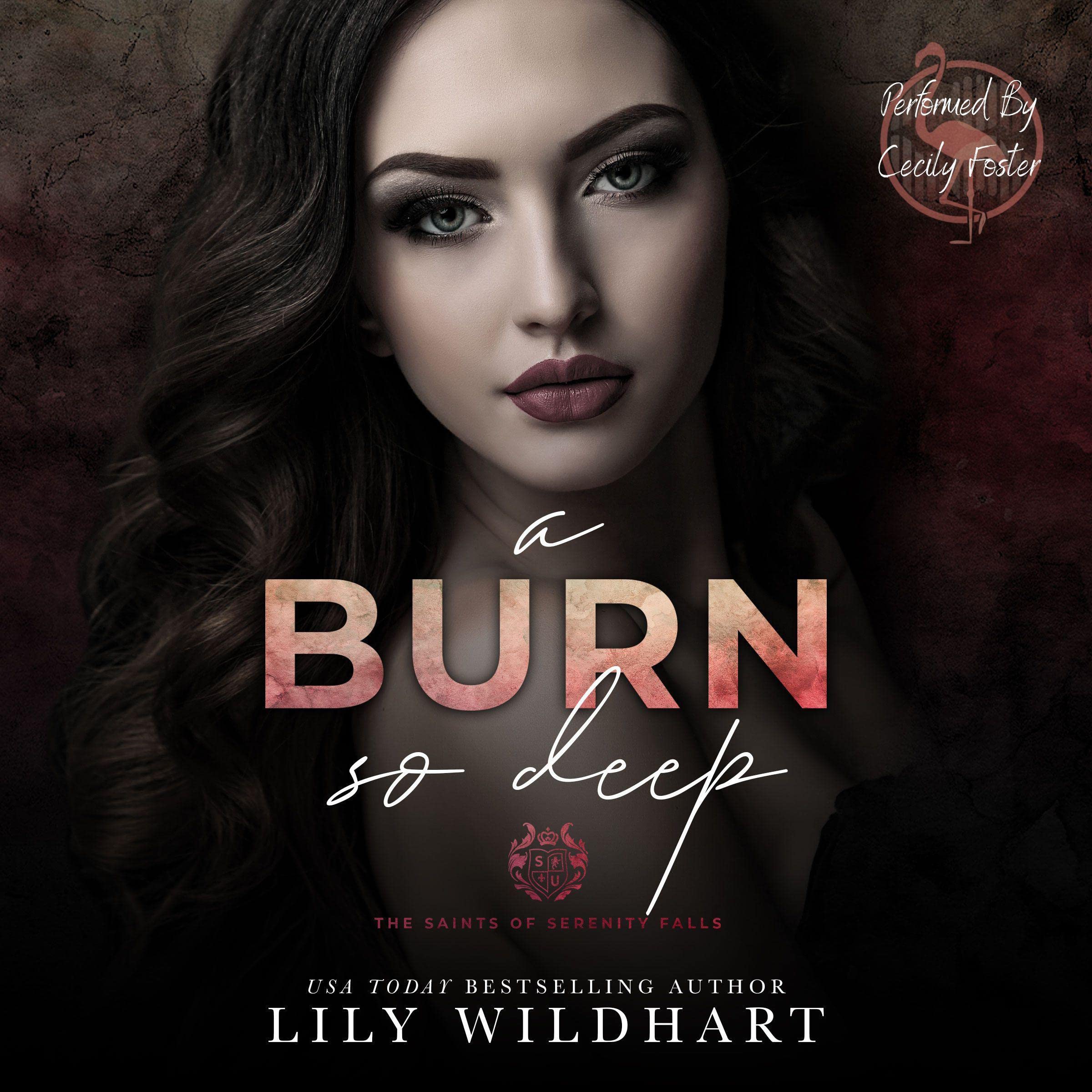 Cover art for A Burn so Deep