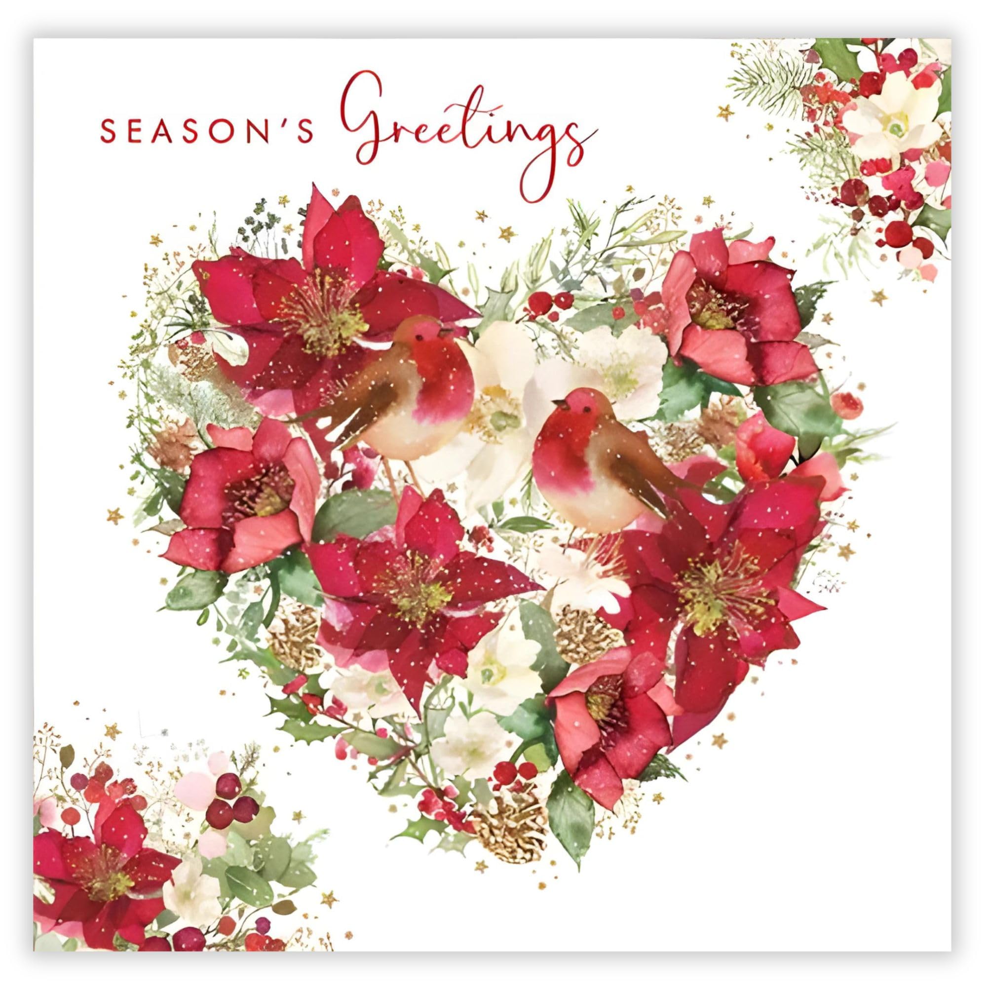 Nigel Quiney General Christmas Card, Single - Christmas Cards 2024 with Robins and Poinsettias Artistic Festive Design and Special Finish- Eco-Friendly Xmas Cards with Envelope
