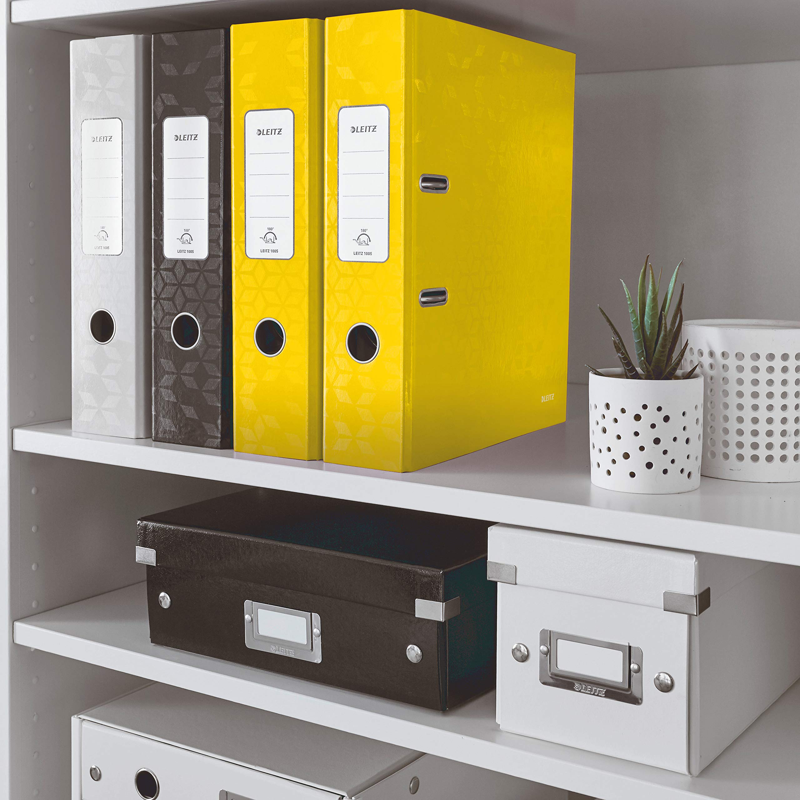 Leitz Wow 10050016 - Raccoglitore a leva, formato A4, larghezza dorso 80 mm, design variabile